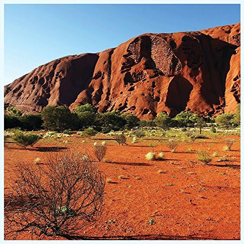 Red Desert Aquarium Terrarium Vinyl Background 20x12-inches