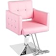 Dangvivi Pink Salon Chair for Hair Stylist,Barber Chari Hair Chair, Stylist Chair with Hydraulic Pump, 360 Degrees Swivel, Beauty Equipment for Women Man
