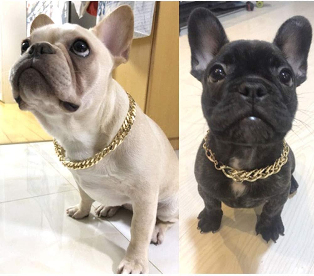 Cuban link for french bulldog Clearance
