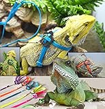 Sawyd Adjustable Reptile Lizard Harness