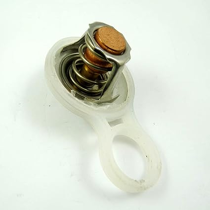 Termostato, refrigerador para mini cooper R50 R52 4573560 53010552 ...