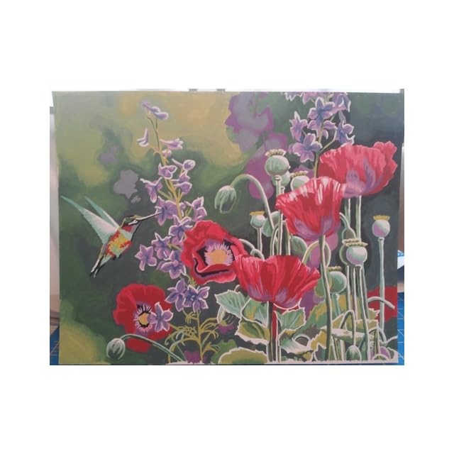 Dimensions Crafts Paintworks Paint by Number Kit, Hummingbird and