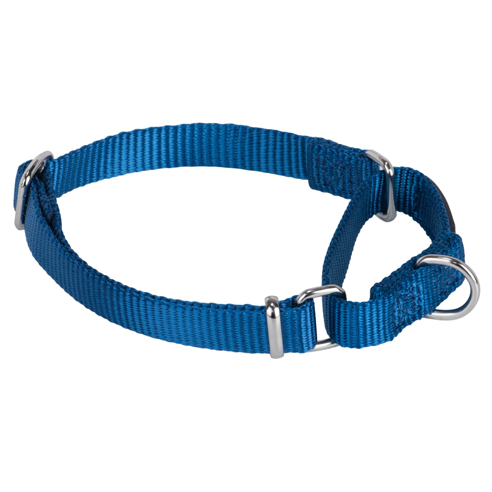 Hyhug Heavy Duty Nylon Anti - Escape Martingale Dog Collar for Large Medium Small Boy and Girl Dogs - Walking Training Daily Use. (Small, Classic Blue)