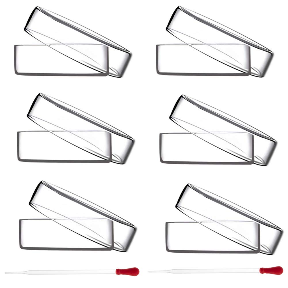 OLYCRAFT 6PCS Glass Petri Dishes High Borosilicate Glass Bacterial Culture Dishes with Lid 60mm Dia x 18mm Deep with 2pcs Glass Culture Plate for Laboratory Science Project