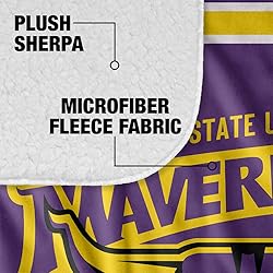 Minnesota State University Mankato