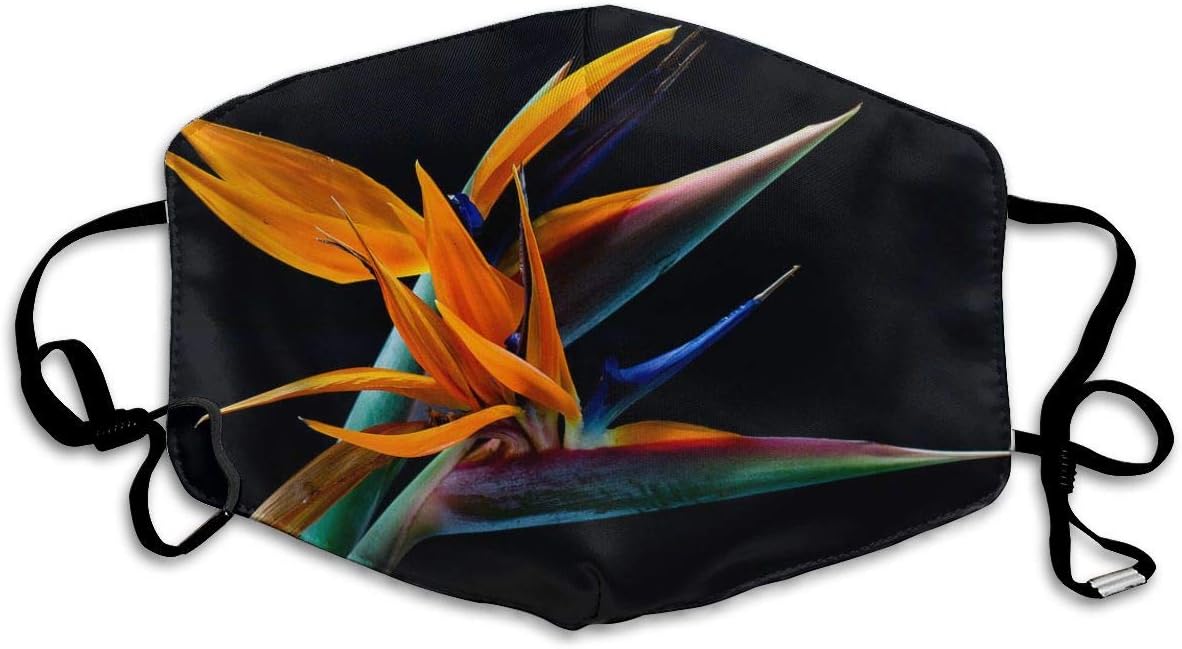 Fashion Face Cover Adjustable Elastic Band Hypoallergenic Face and Nose Cover for Pollen Smog Medical Climbing (Bird of Paradise)