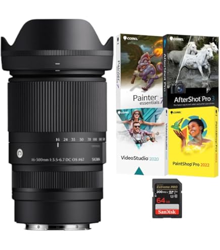 Amazon.com : Sigma 16-300mm F3.5-6.7 DC OS | Contemporary Lens for