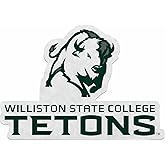Rico Industries NCAA Williston State Tetons Shape Cut Pennant - Home and Living Room Décor - Soft Felt EZ to Hang