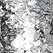 1 LB Silver Confetti