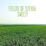 Hello Oral Care Kids Fluoride Free Toothpaste, Natural Watermelon, 4.2 Ounce(Pack Of 4)