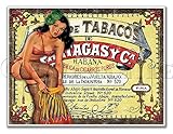 Old Tin Sign Cigar Label 1800s Old Cigar Box Advertising Labels