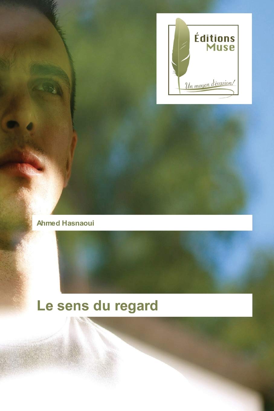 Le Sens Du Regard French Edition Hasnaoui Ahmed Amazon Com Books
