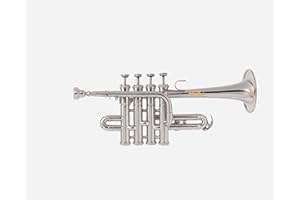 QUEENBRASS Queen Brass Bb Piccolo Trumpet Chrome Finish with Mouthpiece Practice Mute Cleaning Set and Hard Case for Beginners Students and Holiday Gift Idea