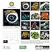 Rocks and Minerals 2016 Wall Calendar
