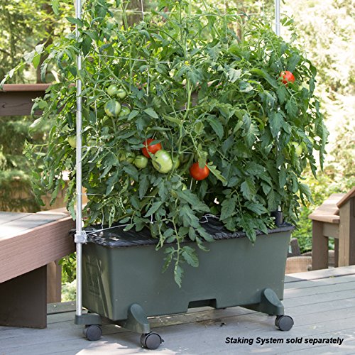 EarthBox® Container Gardening System Green Pricepulse