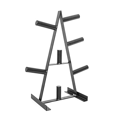 Support De Rangement Pour Poids 2 Pouces - BodyPower Standard Pour Rack