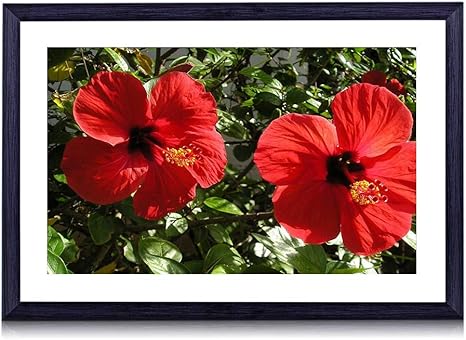Amazon Co Jp 70cmx50cm 木製の黒色のフォトフレーム ハイビスカス花赤い枝晴れた葉 壁掛け 壁飾り 壁ポスター おしゃれ ウォールアート アートパネル 壁の絵 インテリア絵画 額縁 部屋飾り 装飾画 ホーム キッチン