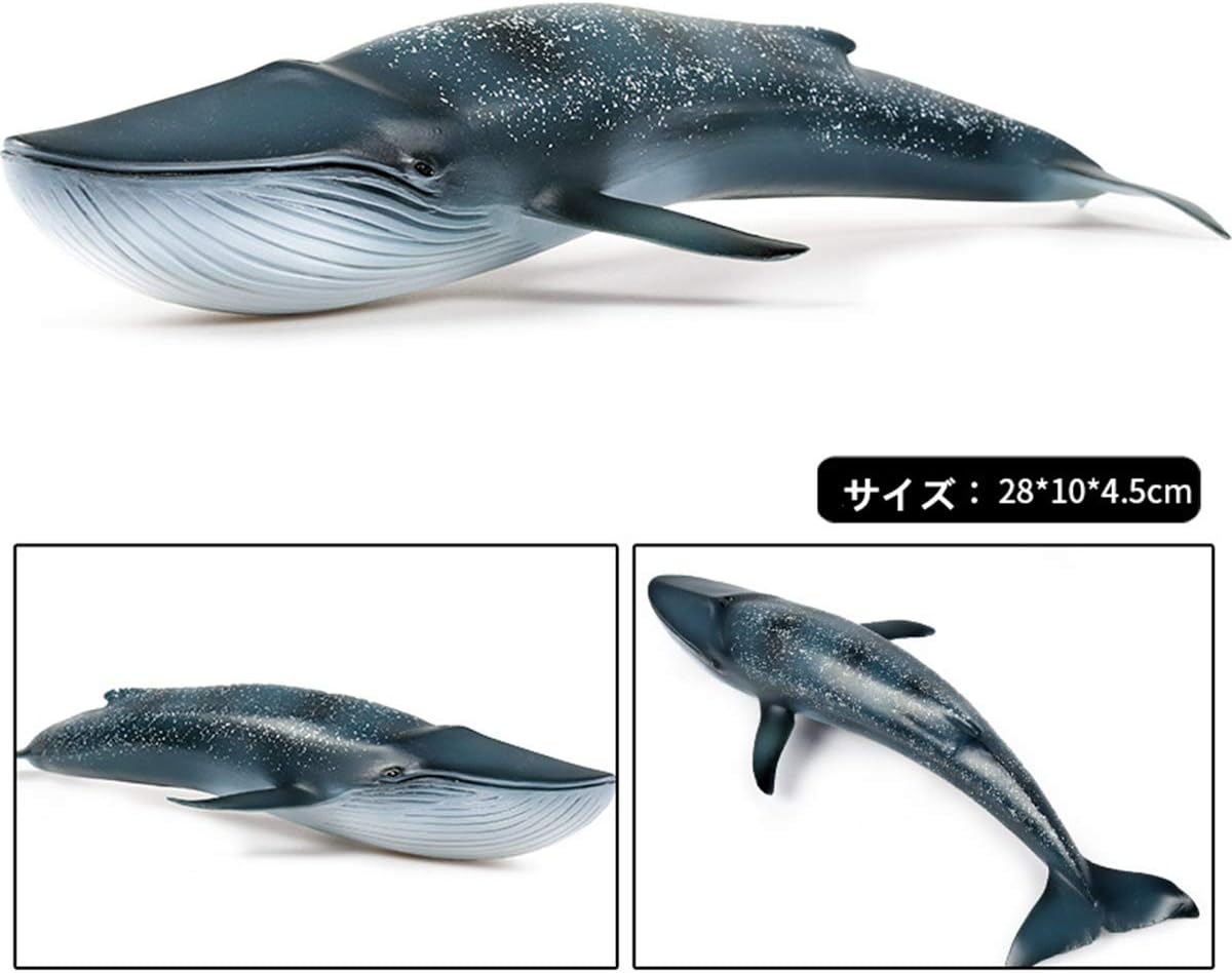 Amazon Bignick クジラ シロナガスクジラ 鯨類 リアル 海洋動物 生物 魚類 フィギュア Pvc ビニールモデル プラモデル おもちゃ プレミアム 28m こどもクジラ好きの孫への誕生日 プレゼント オリジナル インテリア フィギュア ドール 通販