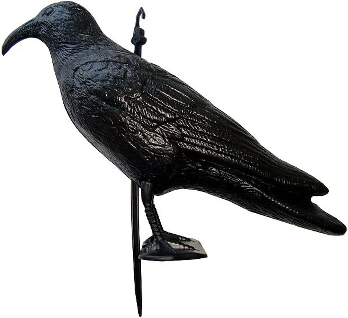 Navyline Corbeau En Plastique Pouvantail Contre Mouettes Et Pigeons Amazon Fr Jardin