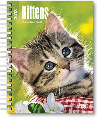 Amazon Com Kittens 2018 6 X 7 75 Inch Weekly Engagement Calendar Animals Kittens Office Products kittens 2021 6 x 7 75 inch weekly engagement calendar