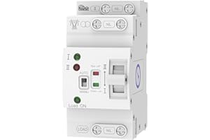 LOVNEWMAX Automatic Transfer Switch 2P 63A 110V, Mini ATS Automatic/Manual DIN Rail Mount Dual Power Transfer Switch for Home Generator, RV，Public/Backup Power Supply