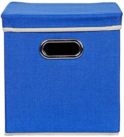 Uberlyfe Foldable Storage Box with Lid for Toy Storage Home Closet Color - Blue (KSB-001319-SBO-BL1PC)