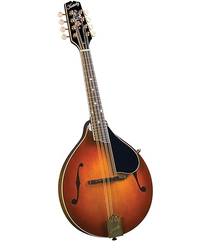 Kentucky KM-250 マンドリン Amazon.com: Kentucky KM-250 Artist A-model Mandolin - Sunburst