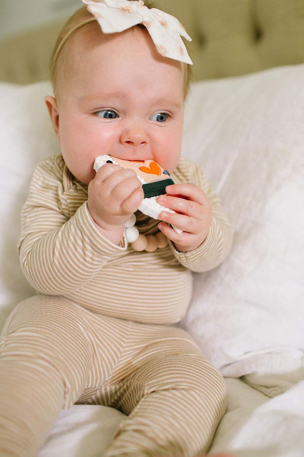 sushi teething toy
