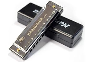 Harmonica 10 Holes 20 Tunes Mouth Organ Blues Deluxe Harmonica, Key of C Major for Harmonica lovers, Beginner and Adults (Sil