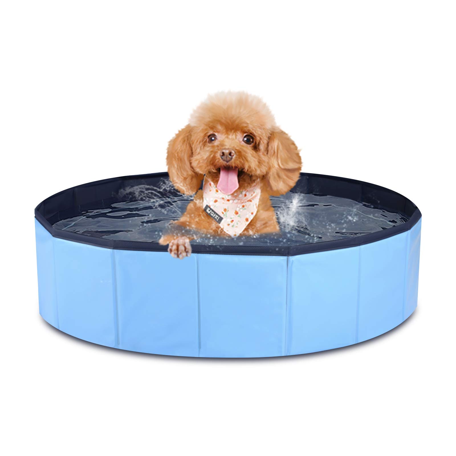 Buy MorTime Foldable Dog Pool Portable Pet Bath Tub Large Indoor