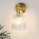 Shenmoyl Vintage Wall Sconces with Transparent