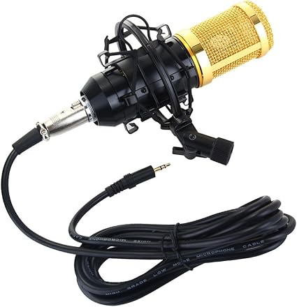 Amazon ノーブランド 品 ダイナミック 録音 プロフェッショナル コンデンサーマイクマイク サウンド スタジオ コンデンサ 楽器