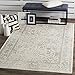 SAFAVIEH Adirondack Collection Accent Rug - 3' x 5', Ivory & Silver, Oriental Distressed Design, Non-Shedding & Easy Care, Ideal for High Traffic Areas in Entryway, Living Room, Bedroom (ADR109C)