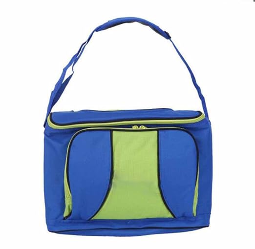 Almuerzo Al Aire Libre Bolso Más Fresco Bolsa Nevera Portátil ...