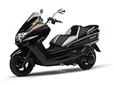 1/12 Yamaha Majesty C with Custom Parts