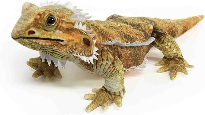 Amazon ワイルドグラフィ フトアゴヒゲトカゲ ぬいぐるみ ホビー Amazon ワイルドグラフィ フトアゴヒゲトカゲ ぬいぐるみ ホビー