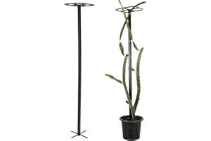 GOOOXIM 63" Metal Dragon Fruit Trellis – Durable Outdoor Garden Support for Climbing Plants, Easy Assembly Vertical Structure, Ideal for Dragon Fruit Growers