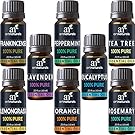 ArtNaturals Aromatherapy Top 8 Essential Oils, 100% Pure of The Highest Quality, Peppermint/Tee Tree/Rosemary/Orange/Lemongrass/Lavender/Eucalyptus/Frankincense, Therapeutic Grade