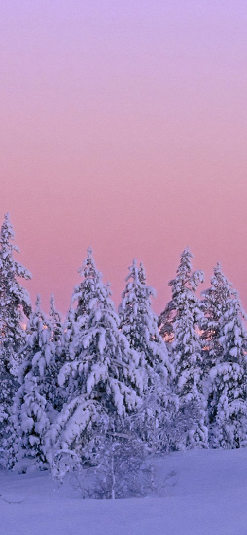 PeelitStickit, Beautiful Nature Wall Murals, ID-1448, vinyl