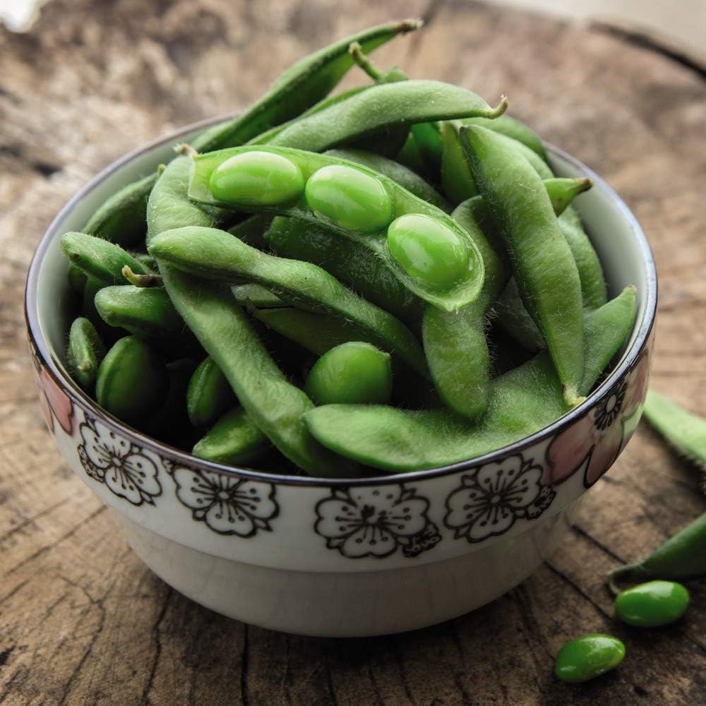 Edamame Bean Seeds Green Shell Easy to Grow HalfHardy Annual Garden