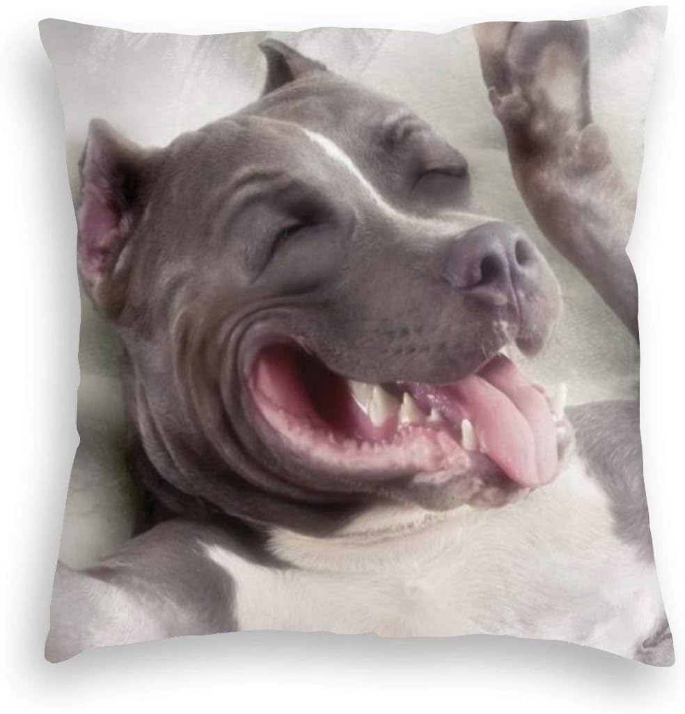 Best American Pitbull Bedding