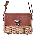 Hycurey Retro Straw Purse and Handbag Small Box Woven Womens Summer Beach Cross Body Bag Shoulder Messenger Satchel Brown