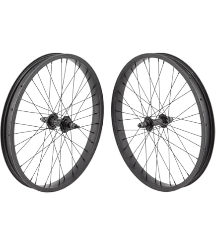 Amazon.com : Alienation 20in Alloy BMX 20in RR Black Sheep Rim