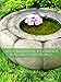 Zen Garden Flowers - Relaxation & Meditation