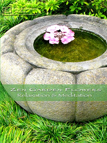 Zen Garden Flowers - Relaxation & Meditation