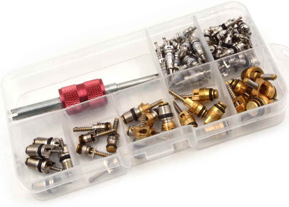 Nikauto 65Pcs Air Conditioned Valve Core and 1Pcs A/C R12 R134a Valve Stem Cores Remover Tool: Automotive