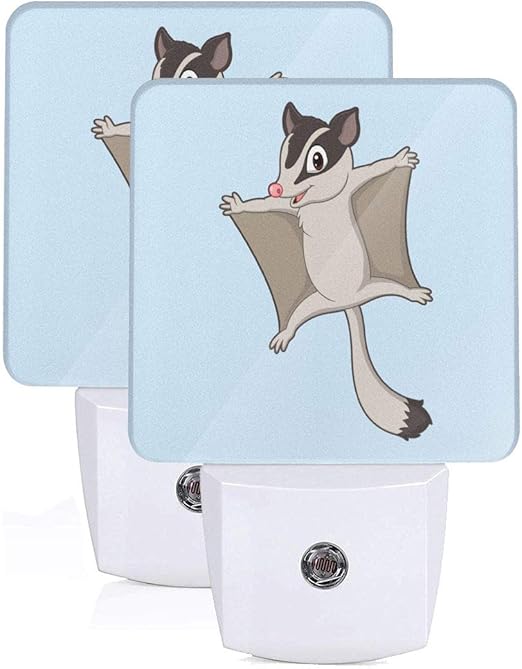 Amazon Com Cartoon Sugar Glider Gliding Plug In Led Night Light Unique Nightlights Perfect For Bathroom Kitchen And Hallway 2 Pack Home Kitchen