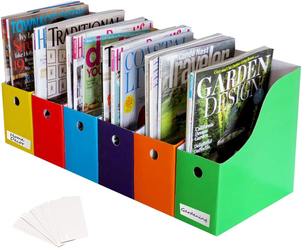 Evelots Magazine File Holder-Organizer-Full 4 Inch Wide-6 Colors-W/Labels-Set/6 : Office Products