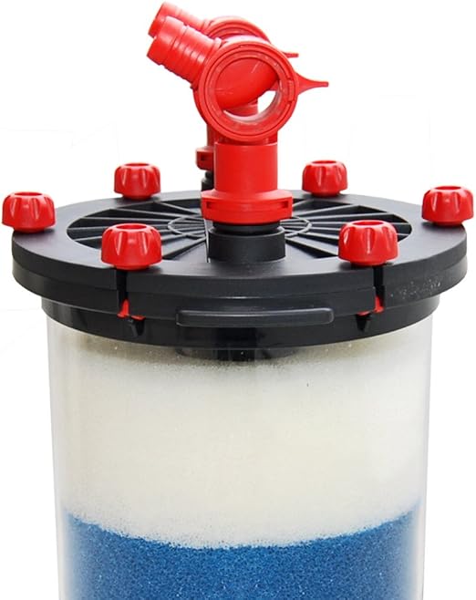 pug with separation anxiety