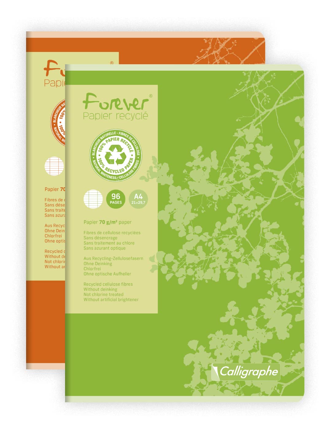 Calligraphe 17123C A Set of 10 Forever Stapled Notebooks (a Clairefontaine Brand) - A4 21x29.7 cm - 96 Seyes Ruled Pages - 100% Recycled Paper 70g - Recycled Cover - Random Colours